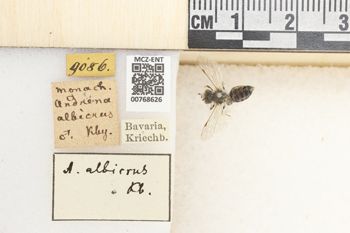 Media type: image;   Entomology 768626 Aspect: Labels